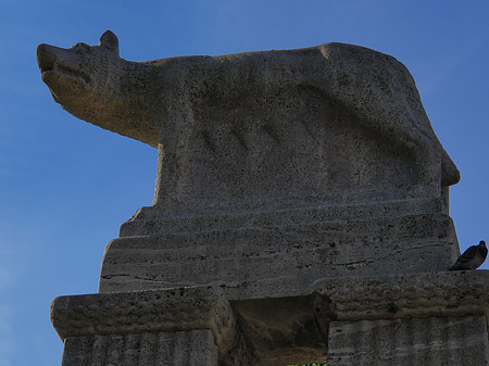 Wolfsstatue am Stadtmuseum Foto 